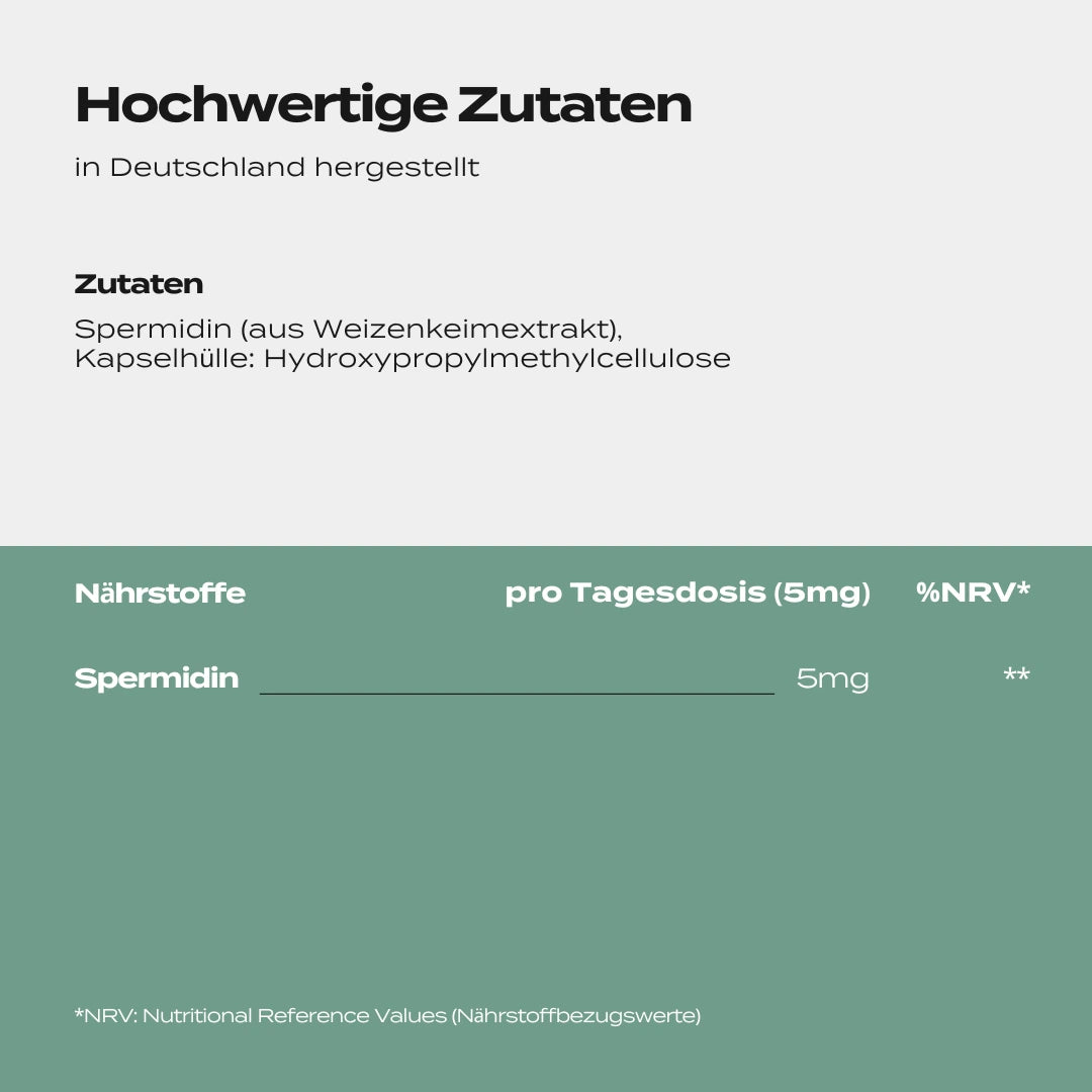 Spermidin Supplement | 5 mg | Zellschutz & Langlebigkeit