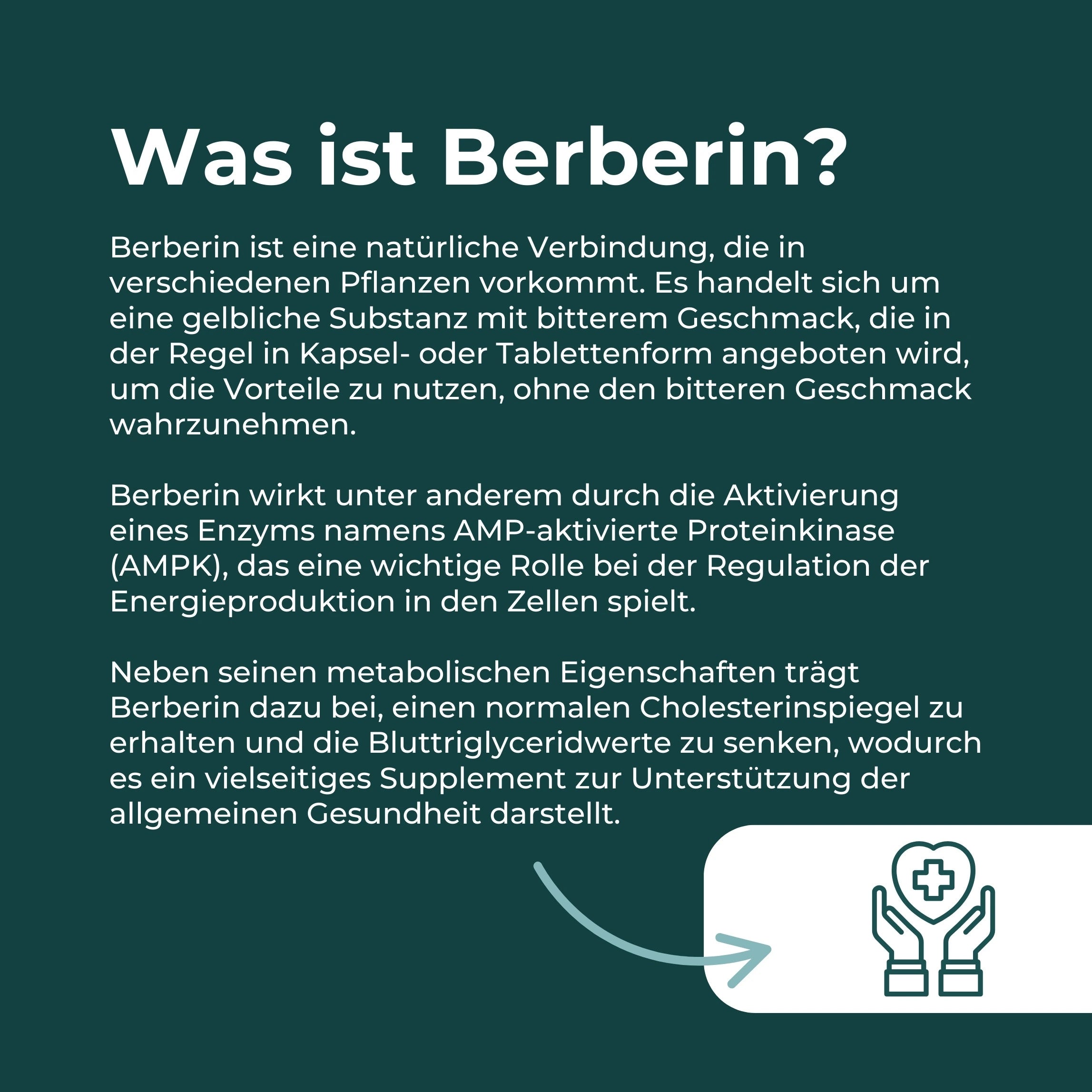 Berberin Supplement | 500 mg | Blutzucker & Cholesterin