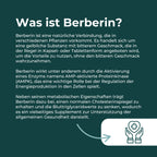 Berberin Supplement | 500 mg | Blutzucker & Cholesterin