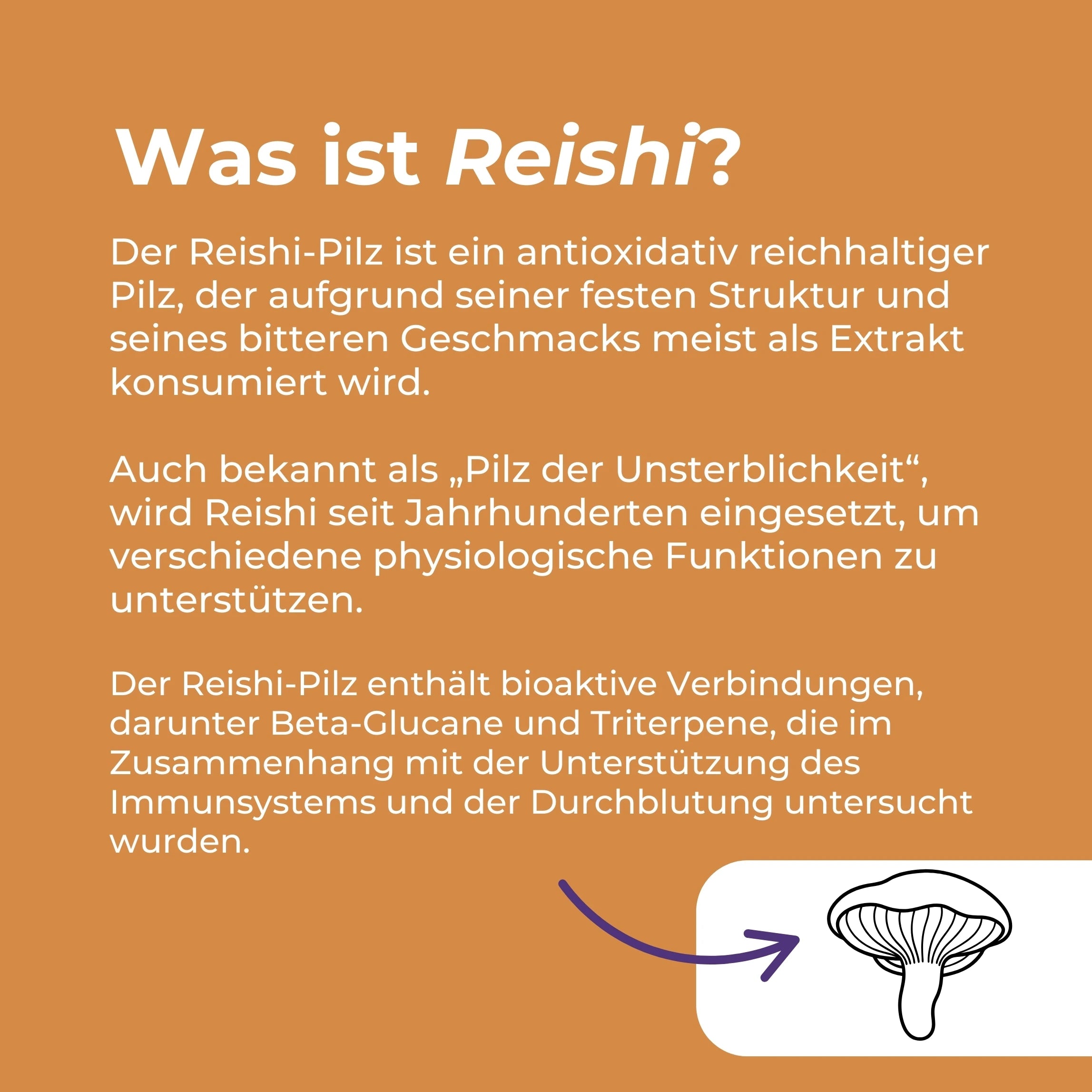 Reishi Pilz Gummibärchen
