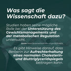 Berberin Supplement | 500 mg | Blutzucker & Cholesterin