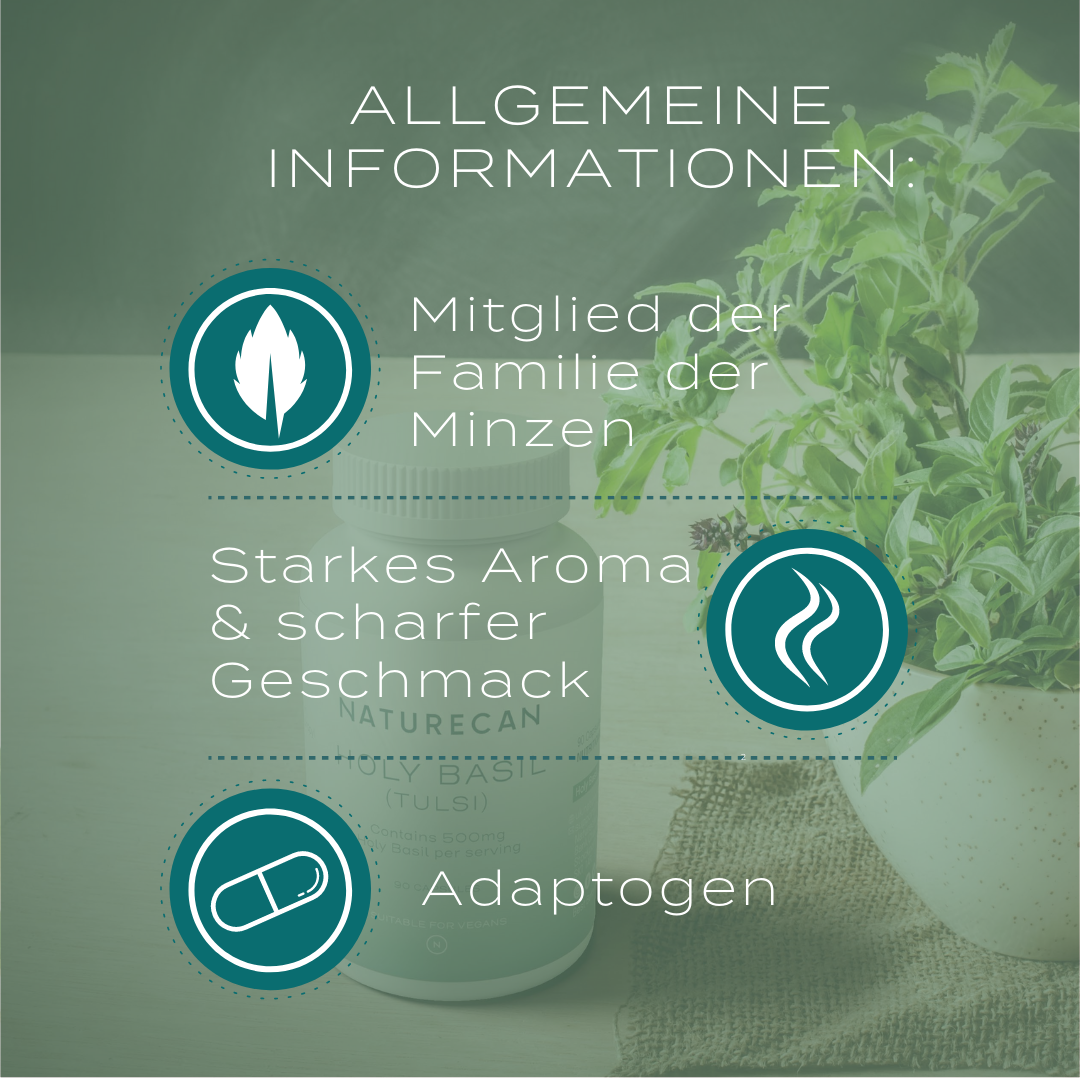 Holy Basil Kapseln - Tulsi Extrakt