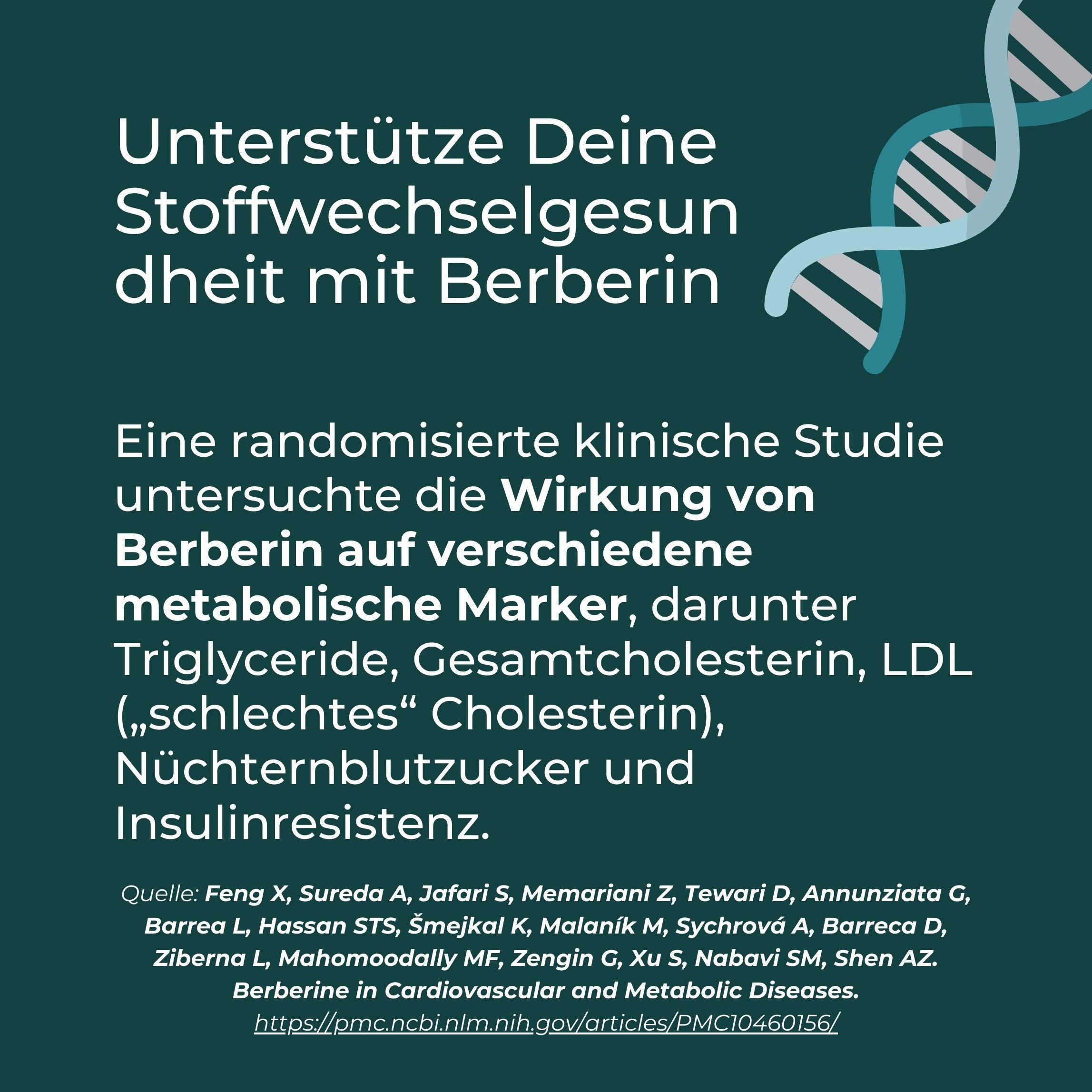 Berberin Supplement | 500 mg | Blutzucker & Cholesterin