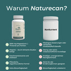 Magnesium L-Threonate