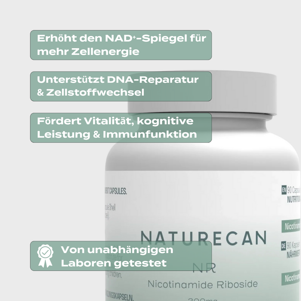 NAD Supplement (NR) | 300 mg | Vitamin B3 zur NAD+ Aktivierung