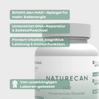 NAD Supplement (NR) | 300 mg | Vitamin B3 zur NAD+ Aktivierung