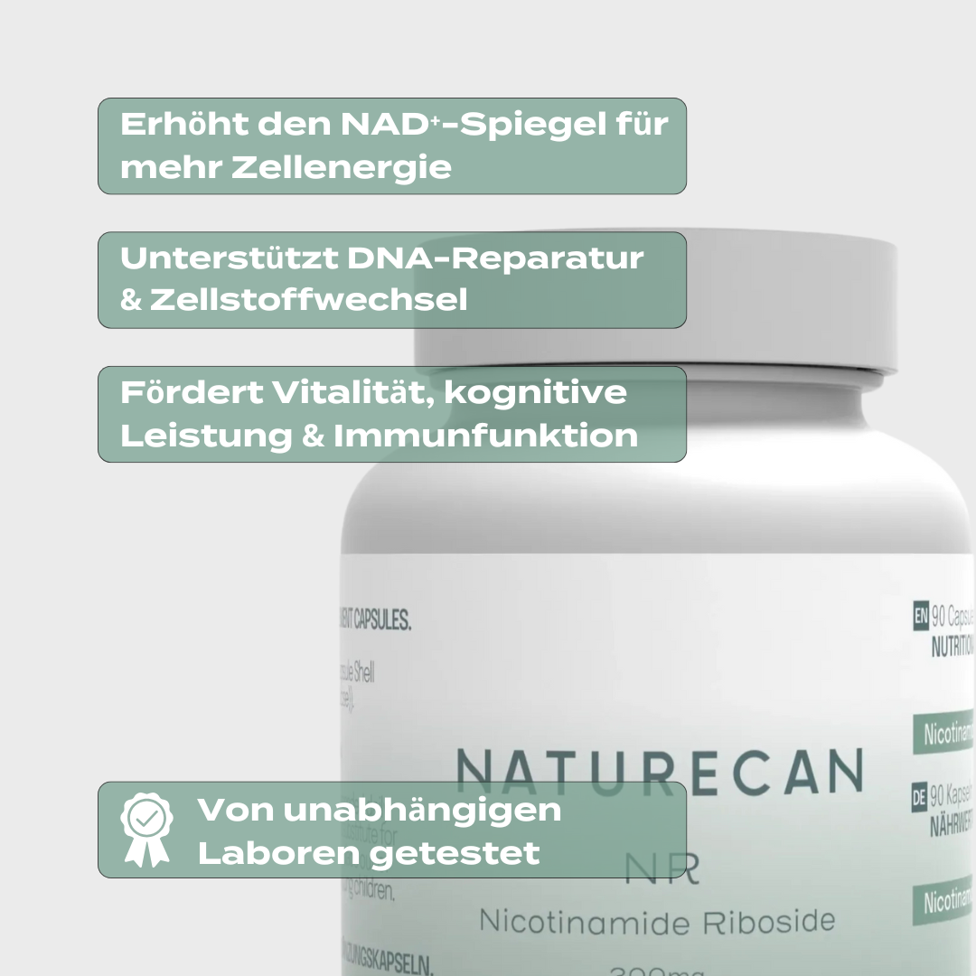 NAD Supplement (NR) | 300 mg | Vitamin B3 zur NAD+ Aktivierung