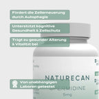 Spermidin Supplement | 5 mg | Zellschutz & Langlebigkeit