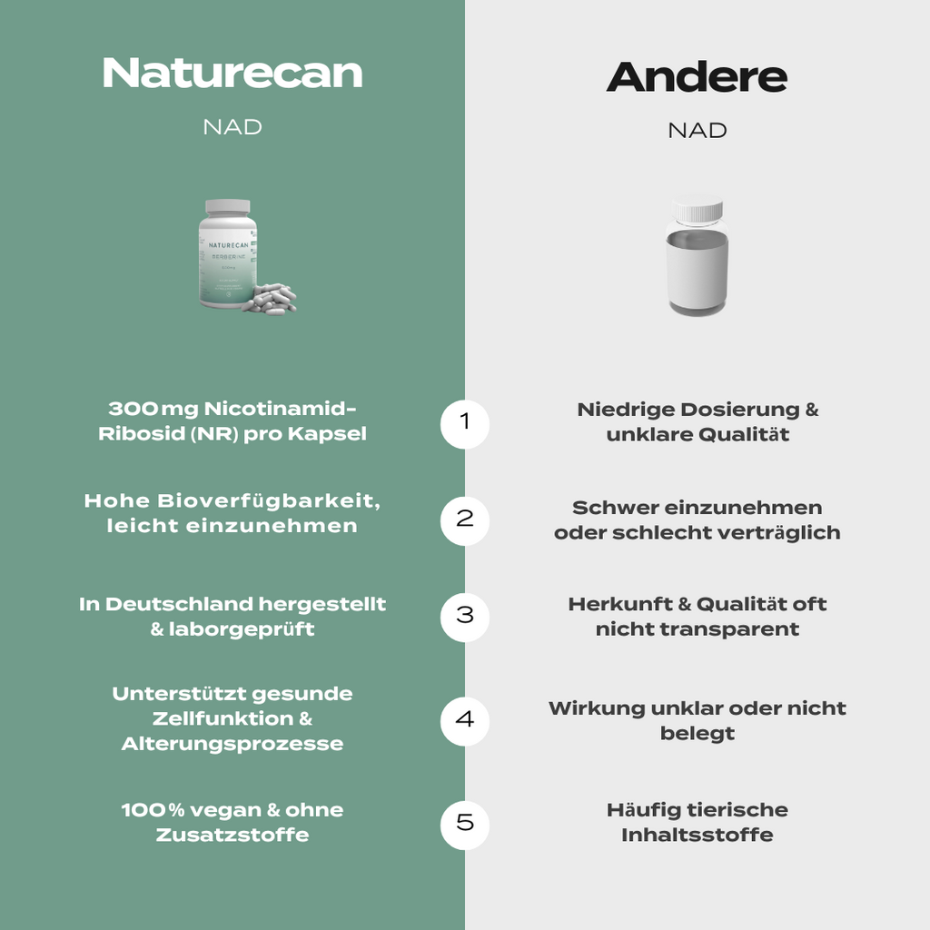 NAD Supplement (NR) | 300 mg | Vitamin B3 zur NAD+ Aktivierung