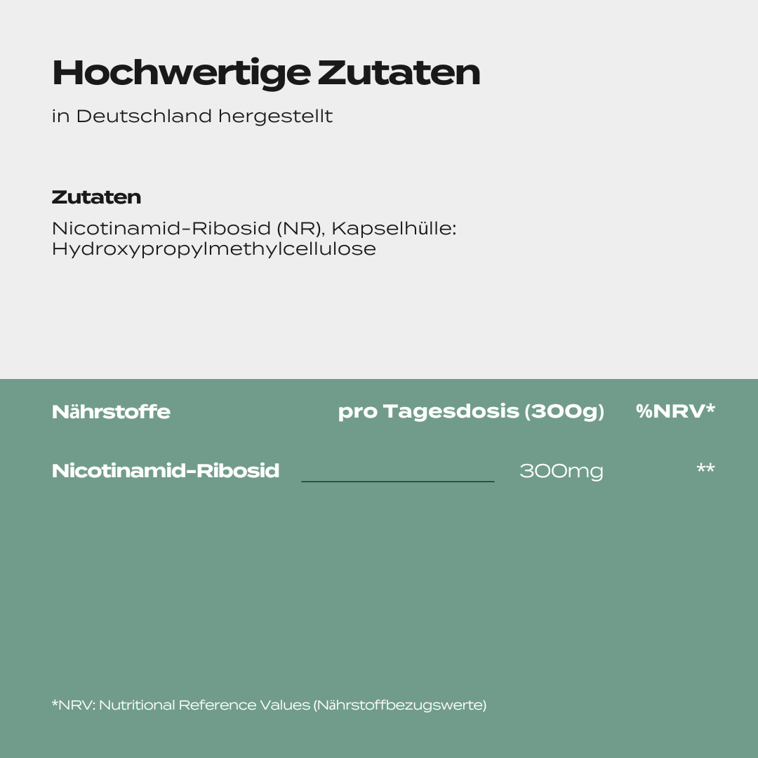 NAD Supplement (NR) | 300 mg | Vitamin B3 zur NAD+ Aktivierung