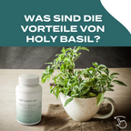 Holy Basil Kapseln - Tulsi Extrakt
