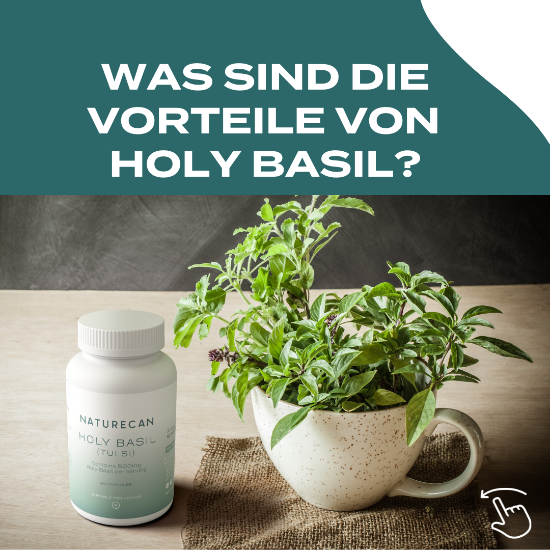 Holy Basil Kapseln - Tulsi Extrakt