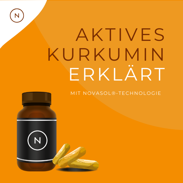 Aktive Kurkumin Kapseln