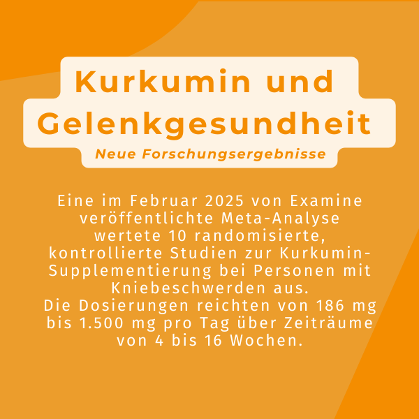 Aktive Kurkumin Kapseln